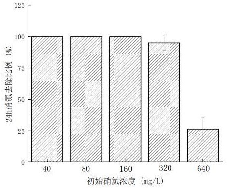 一株耐热短程反硝化菌及其在污水处理中的应用的制作方法