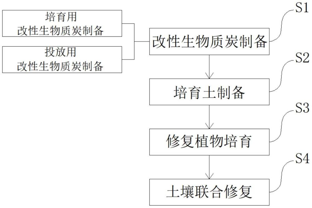 生物质碳联合植物协同修复多环芳烃污染土壤的方法