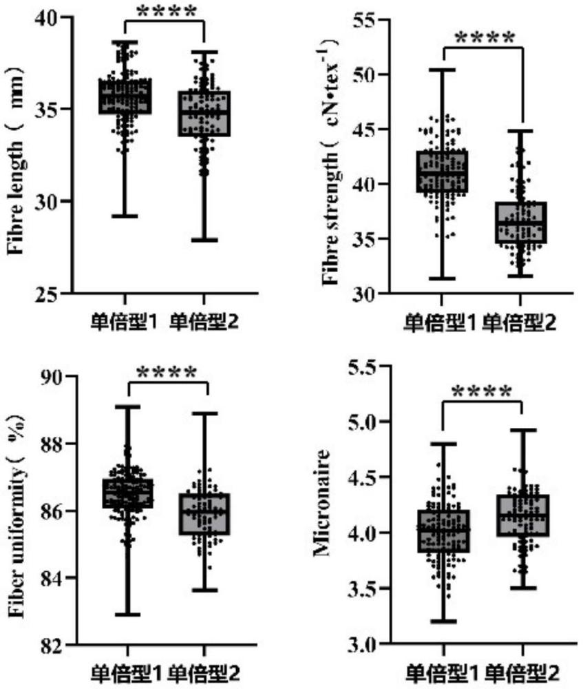 一种与棉花纤维品质性状相关的类DCN1蛋白基因GoDCN1L分子标记及其应用