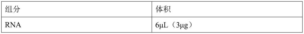 hsa_circ_0004339标志物在制备肺结核诊断的产品中的应用的制作方法