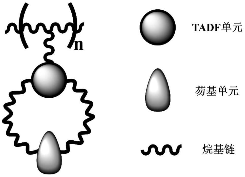 一种新型柔性环状热激活延迟荧光聚合物