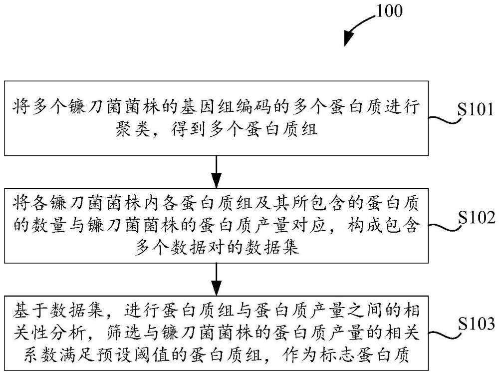 筛选与菌株的蛋白质产量相关的标志蛋白质或标志基因的方法以及评价菌株的蛋白质产量的方法和相关设备与流程