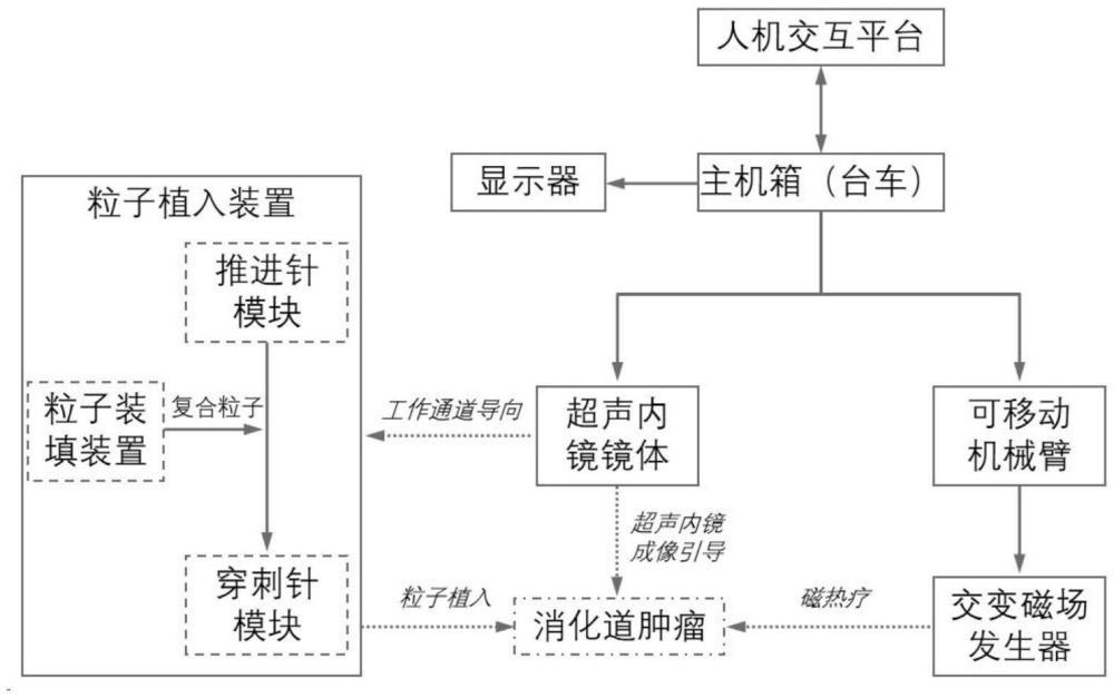 经软式超声内镜植入的复合粒子磁热疗-放疗系统