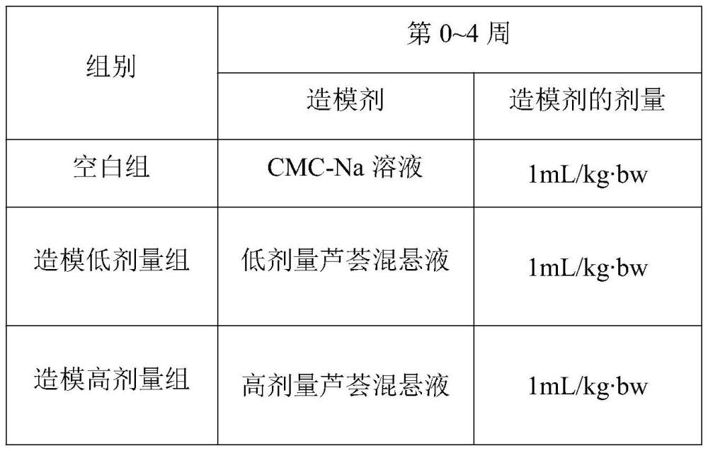 结肠黑变动物模型的构建方法、结肠黑变动物模型及应用与流程