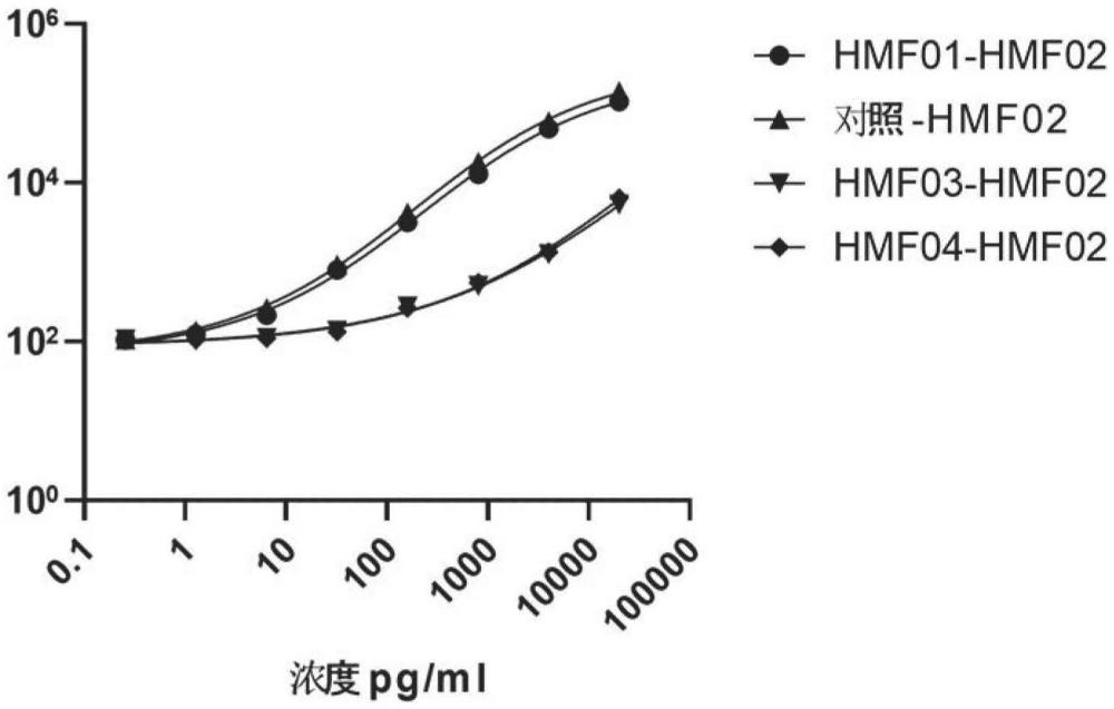 特异性结合IFN-α2的抗体、抗体片段及其用途的制作方法