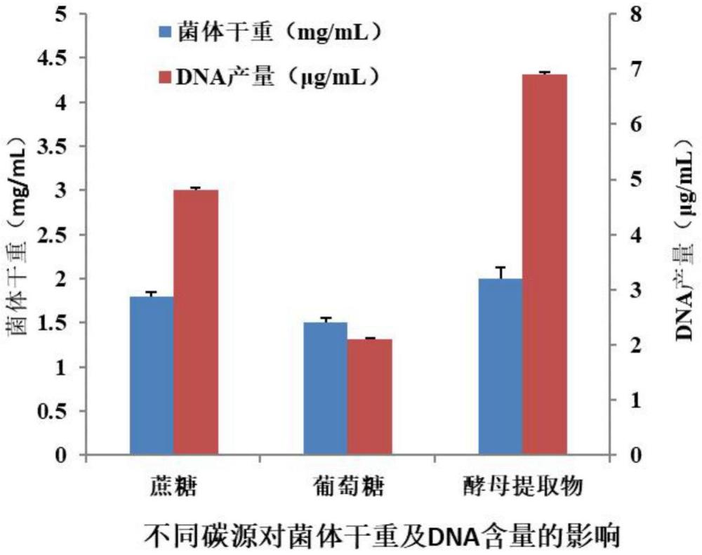 虹鳟传染性造血器官坏死病核酸疫苗实验室生产方法与流程