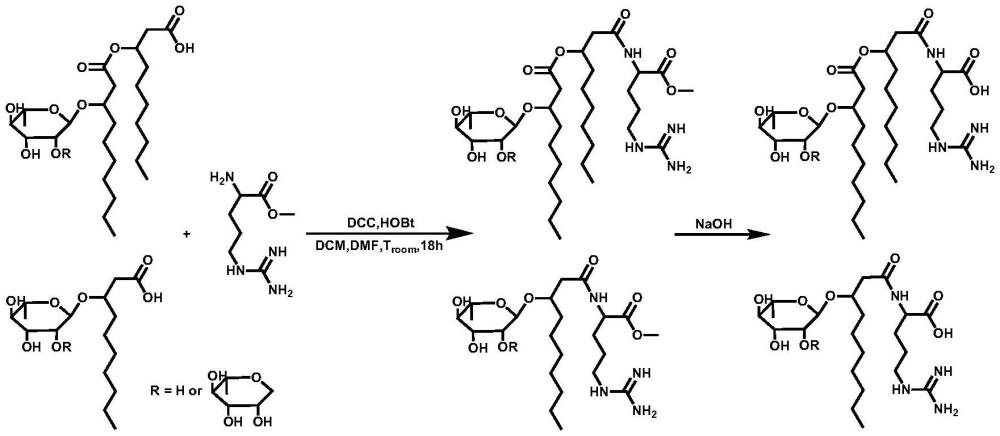 一种两性鼠李糖脂衍生物及其制备方法、应用
