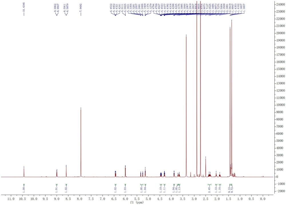 氯法拉滨的小分子前体药物、其制备方法及应用