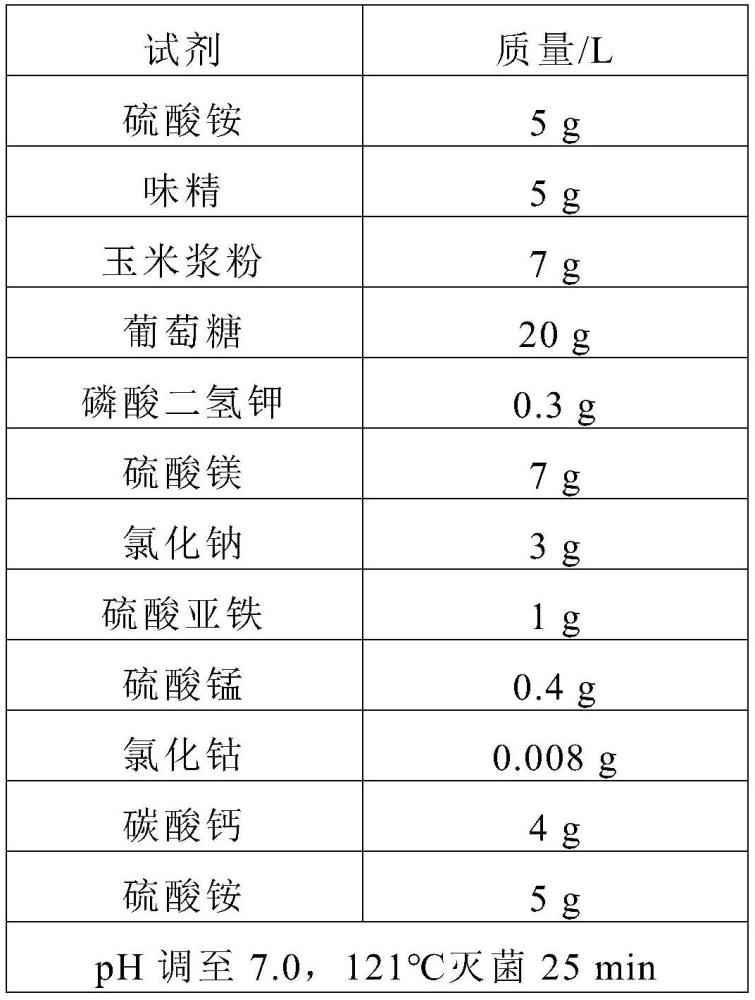 提高类球红细菌的粪卟啉产量的方法及应用