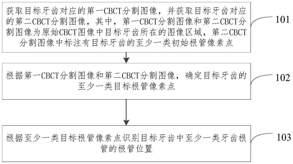 牙齿根管的识别处理方法、装置、设备及介质与流程