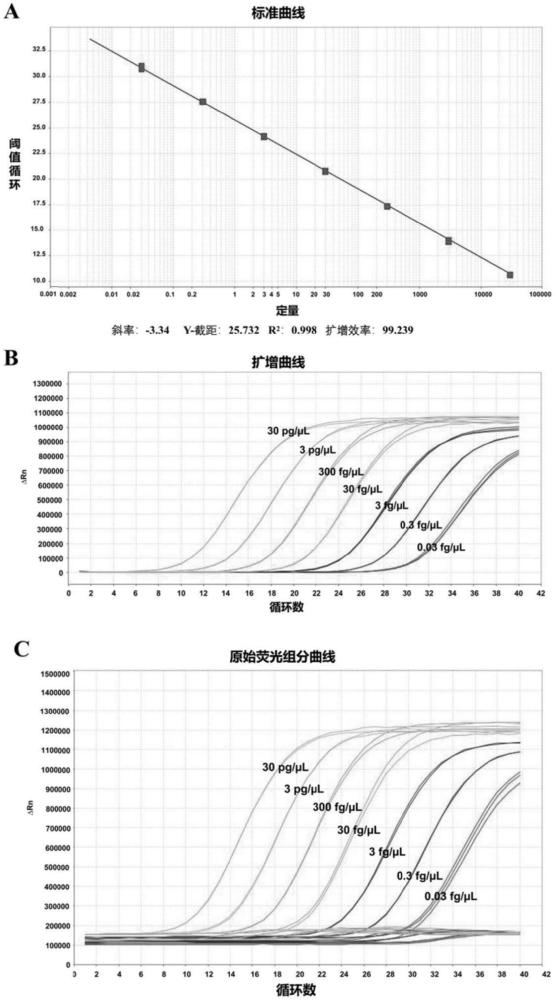 一种引物组、大肠杆菌外源性DNA残留检测方法及应用与流程