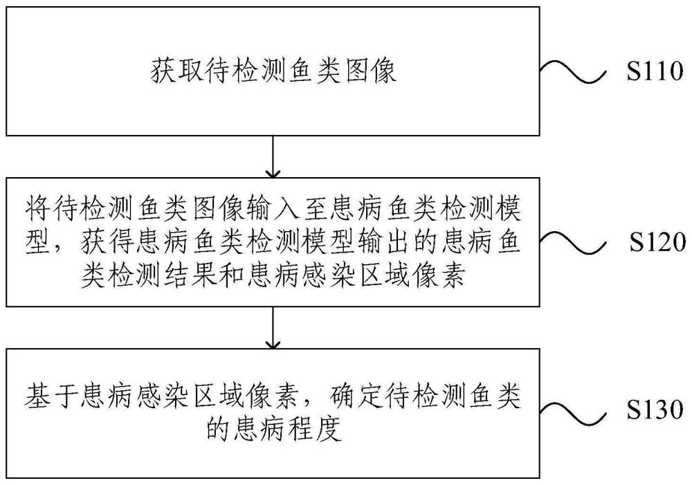 患病鱼类的检测方法、装置、设备、存储介质及产品