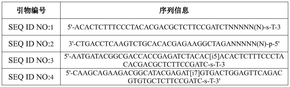 一种单基因遗传病的携带者筛查基因组合、探针组合、试剂盒及其制备方法、装置与流程