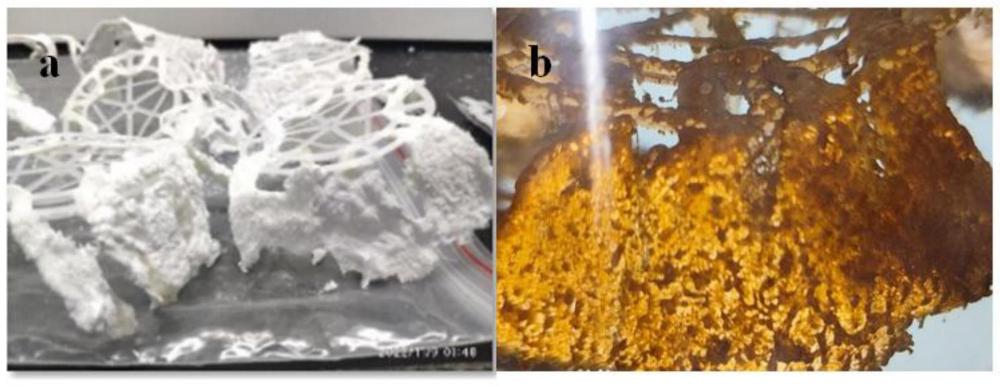 一种受污染水体生物修复材料及其制备方法和应用