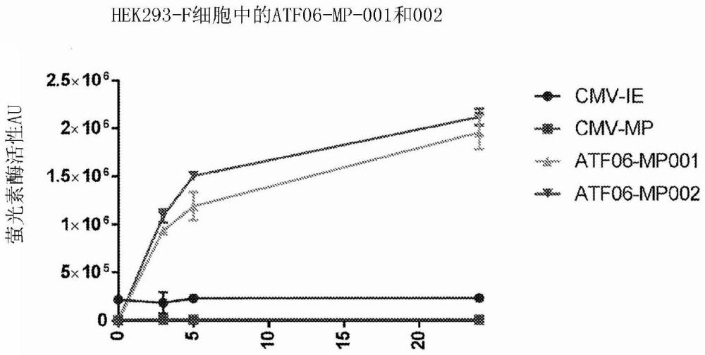 使用可调节内含子的表达控制的制作方法