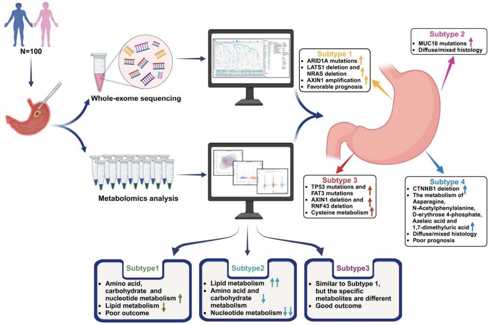 一种联合外显子测序和代谢组学建立的胃癌的分子分型系统