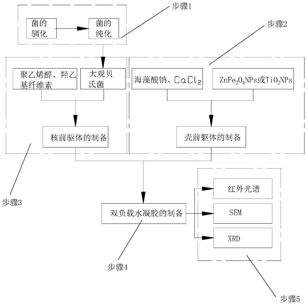 一种双负载核壳水凝胶及其制备方法和应用