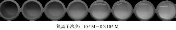 一种氟离子荧光探针、制备方法及水相中氟离子检测方法