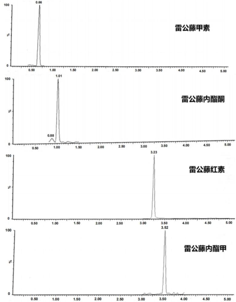 一种降低雷公藤毒性的炮制方法与流程