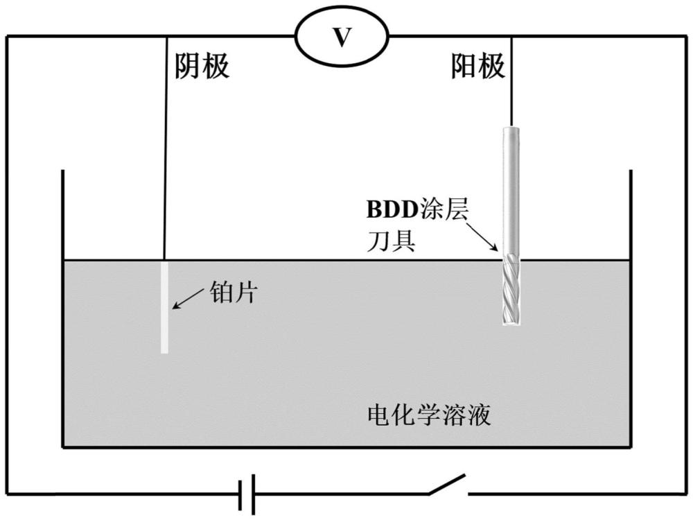 一种硼掺杂金刚石涂层刀具的电化学抛光方法