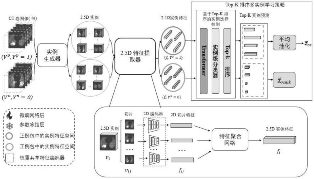 肺部CT图像弱监督多实例学习的生物标志物的识别方法