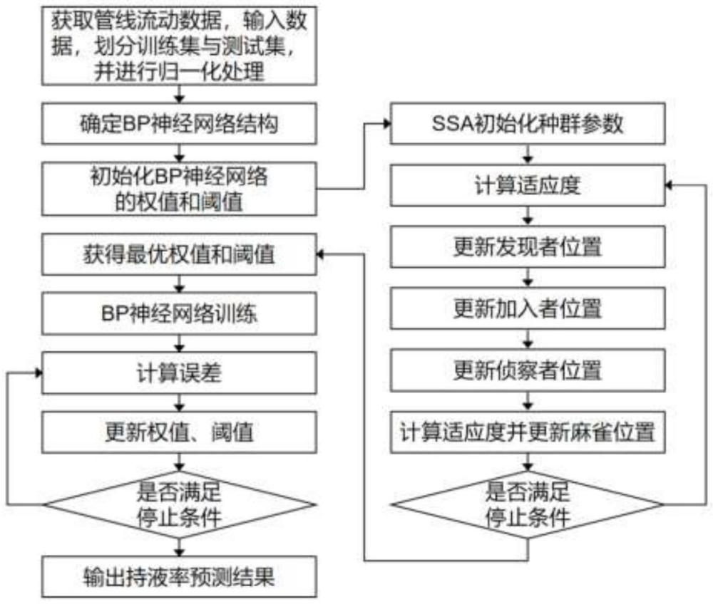 基于SSA-BP神经网络的大起伏油气混输管线持液率预测方法