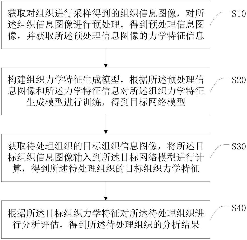 一种组织力学特征生成方法、系统及终端