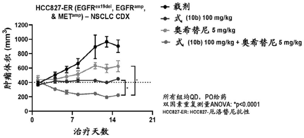 使用PTPN11抑制剂和EGFR抑制剂的组合疗法的制作方法