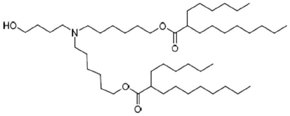 RNA分子的制作方法