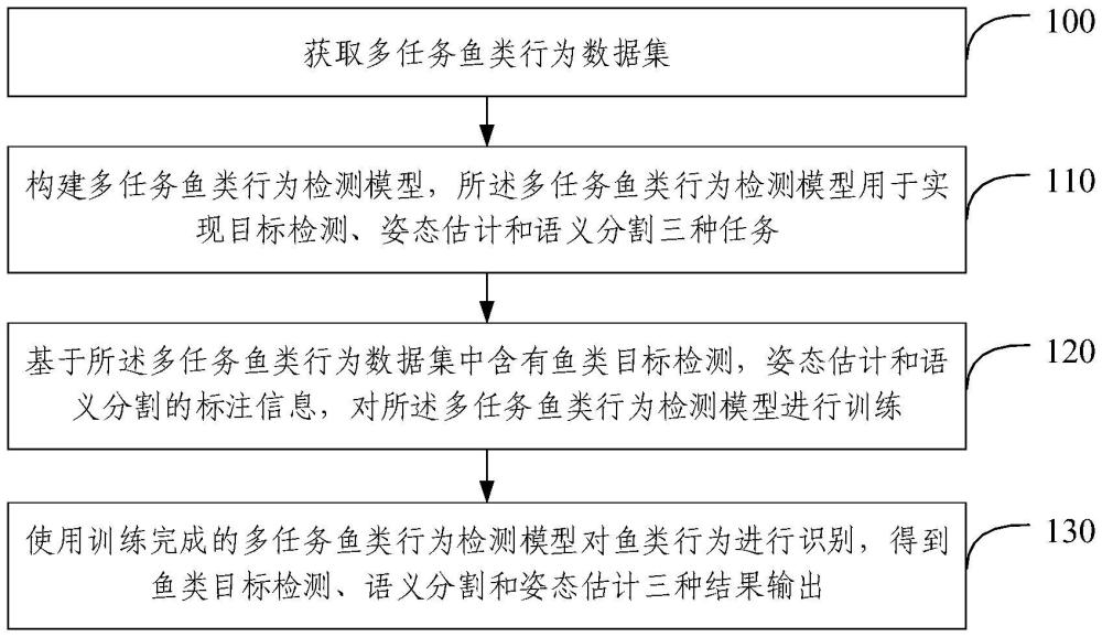 鱼类行为检测方法、装置、电子设备和存储介质