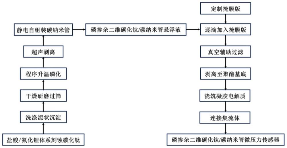 磷掺杂二维碳化钛/碳纳米管电容式微压力柔性传感器及其制备方法和应用