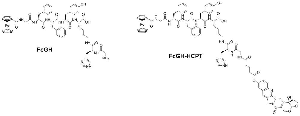 一种多肽分子FcGH及其纳米制剂FcGHCu、FcGHCu-HCPT的相应应用