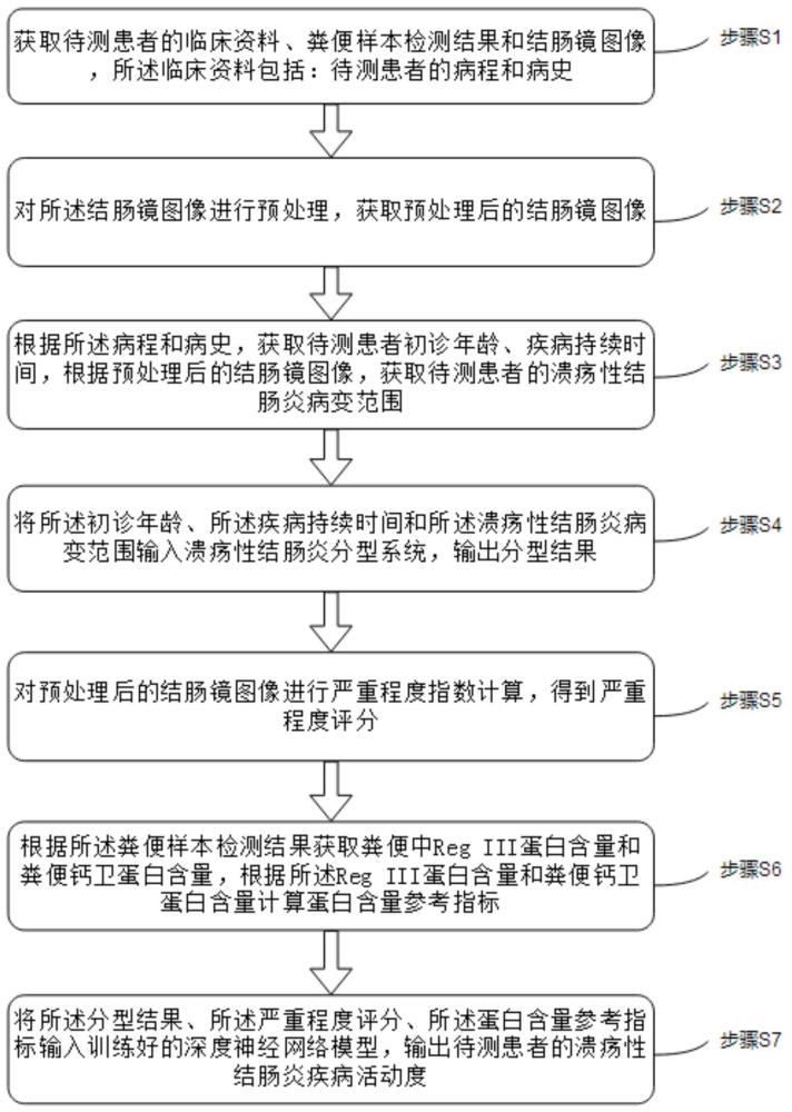 基于RegIII蛋白的溃疡性结肠炎疾病活动度预测方法及系统