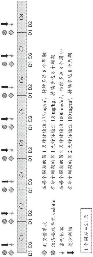 使用抗CD79b免疫缀合物治疗弥漫性大B细胞淋巴瘤的方法与流程