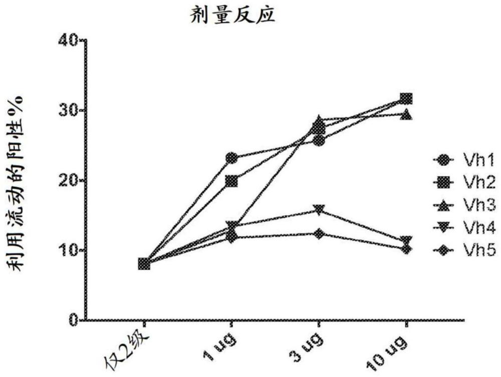 抗干细胞因子抗体及其使用方法与流程