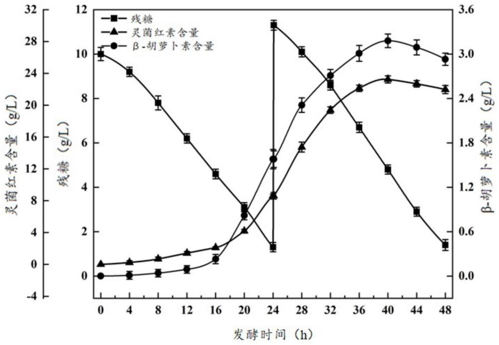 一种混菌发酵联产灵菌红素和β-胡萝卜素的方法