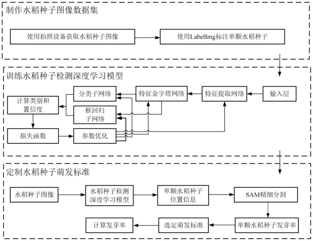 一种定制水稻种子萌发标准的方法