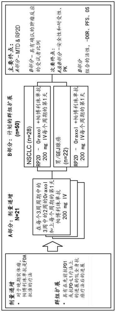 用于治疗实体瘤的口服施用紫杉醇、P-gp抑制剂和检查点抑制剂的治疗组合的制作方法