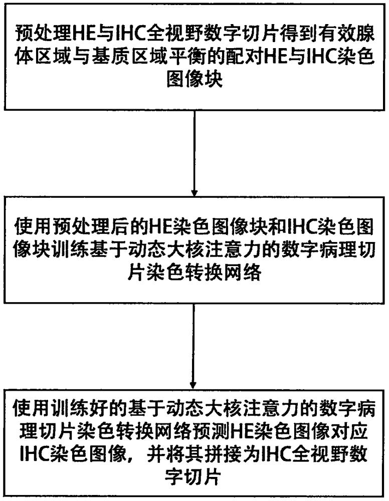 一种基于动态大核注意力的数字病理切片染色转换方法