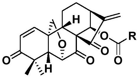 冬凌草甲素6,20-环氧A环修饰衍生物及其制备方法和用途