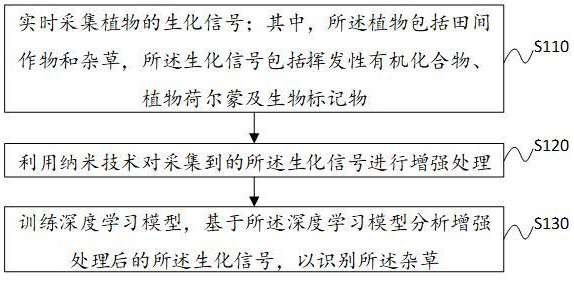 一种自动识别杂草作物的方法及系统与流程