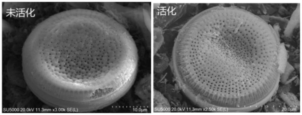 一种利用硅藻土和铝矾土制备水泥混合材的方法和应用