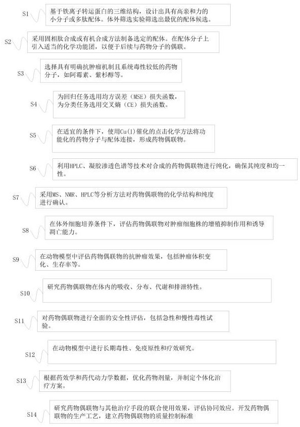 一种新型铁离子转运蛋白靶向药物的制备方法及其在肿瘤治疗中的应用与流程