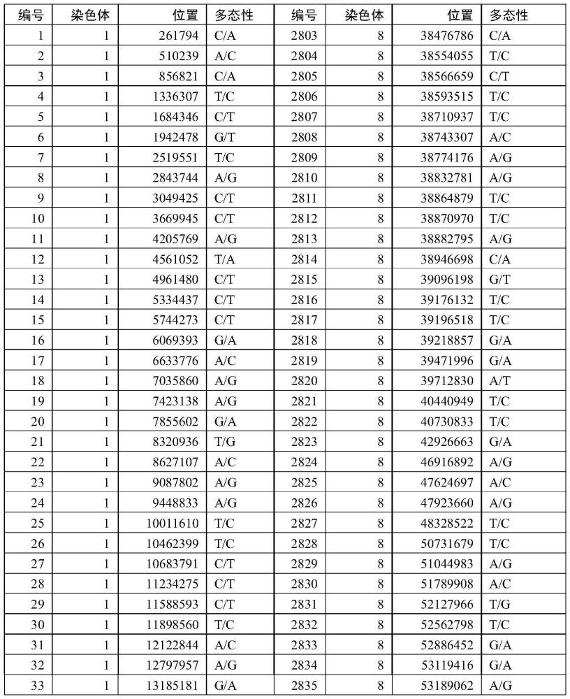 一种猪全基因组低密度5KSNP芯片及其应用