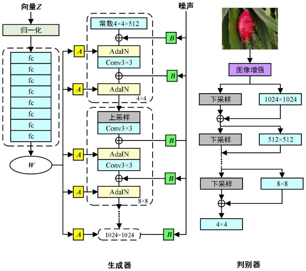 基于YOLOv7-RA的火龙果品质与成熟度双指标检测方法、装置、计算机可读存储介质及产品