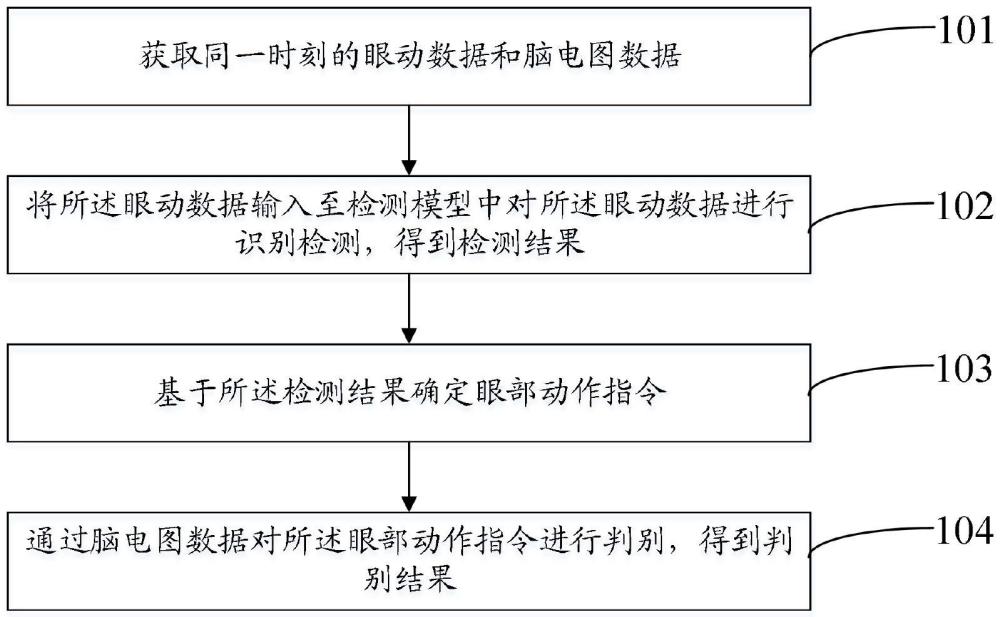 基于错误相关电位的眼动判别确认方法、系统、介质及产品