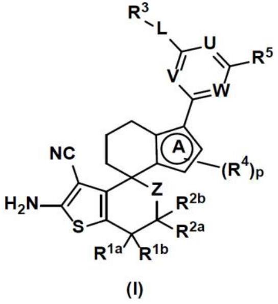 用于治疗癌症的环状2-氨基-3-氰基噻吩及衍生物的制作方法