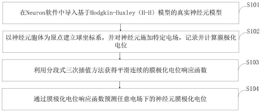 基于神经元电生理模型的经颅直流电刺激参数优化方法及系统