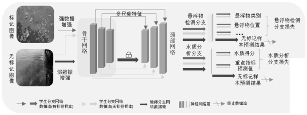 面向边缘设备的基于深度神经网络的水质检测方法与流程