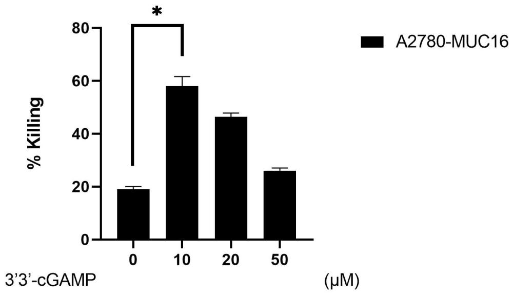 3'3'-cGAMP在制备增强MUC16CAR-T对肿瘤细胞杀伤效果药物中的应用